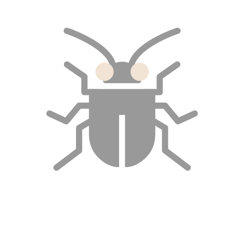 Insect